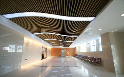 广东奥兰博条形铝挂片 佛山热销的室内装饰优选